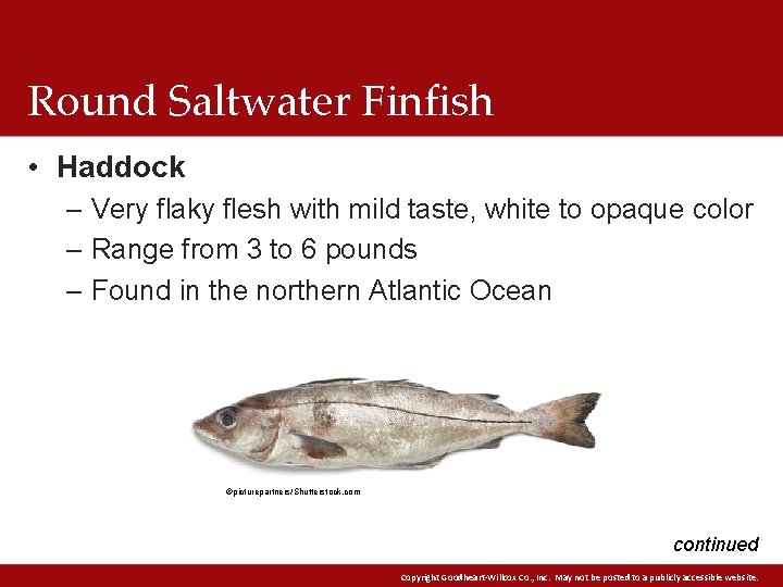 Round Saltwater Finfish • Haddock – Very flaky flesh with mild taste, white to