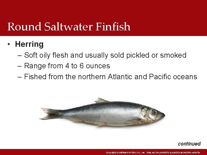 Round Saltwater Finfish • Herring – Soft oily flesh and usually sold pickled or