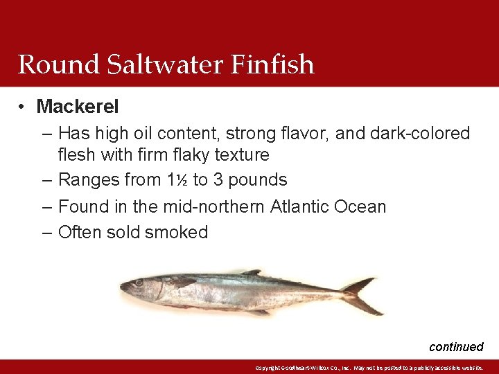 Round Saltwater Finfish • Mackerel – Has high oil content, strong flavor, and dark-colored