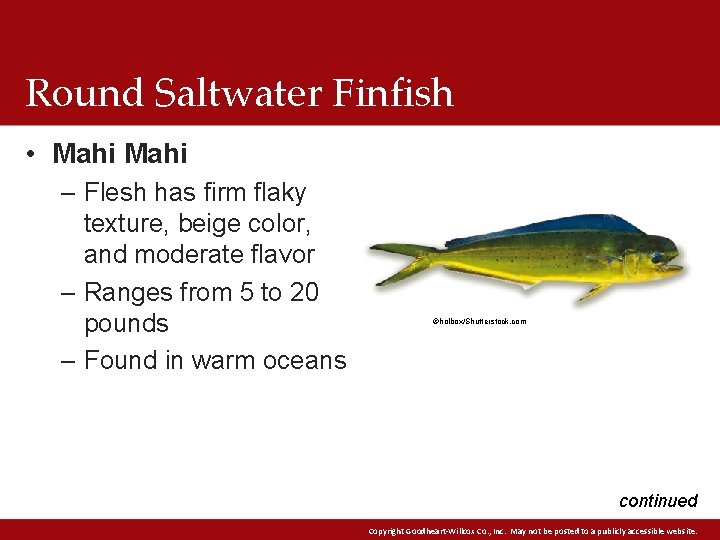 Round Saltwater Finfish • Mahi – Flesh has firm flaky texture, beige color, and