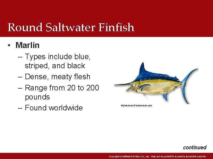 Round Saltwater Finfish • Marlin – Types include blue, striped, and black – Dense,