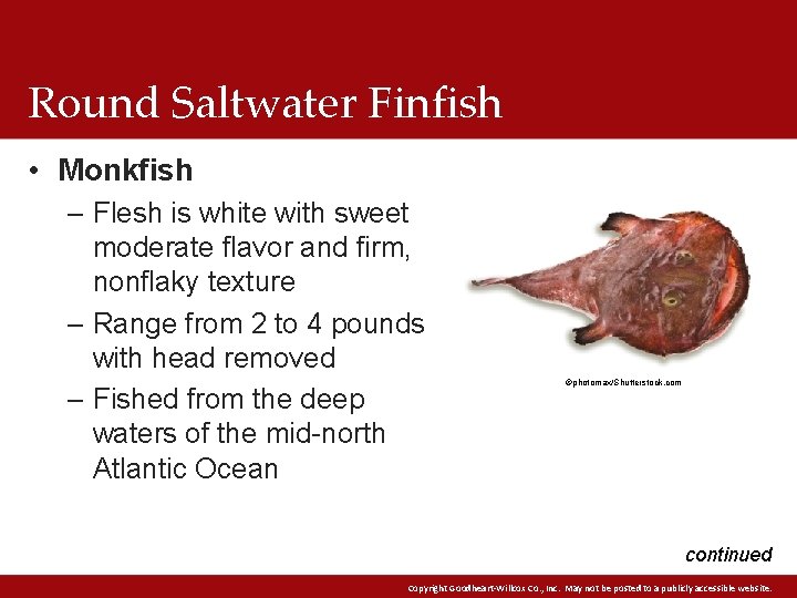 Round Saltwater Finfish • Monkfish – Flesh is white with sweet moderate flavor and