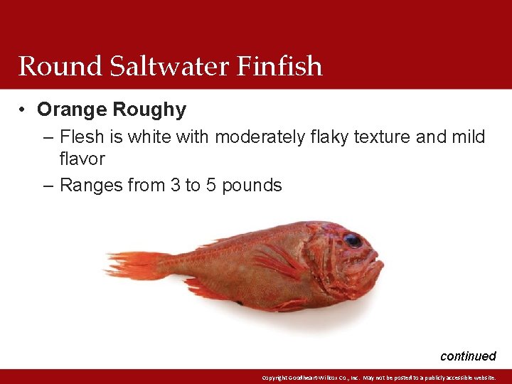 Round Saltwater Finfish • Orange Roughy – Flesh is white with moderately flaky texture