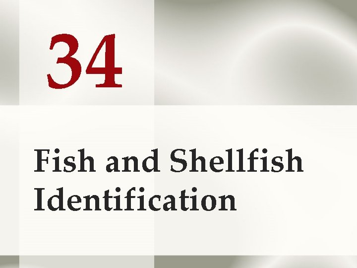34 Fish and Shellfish Identification 