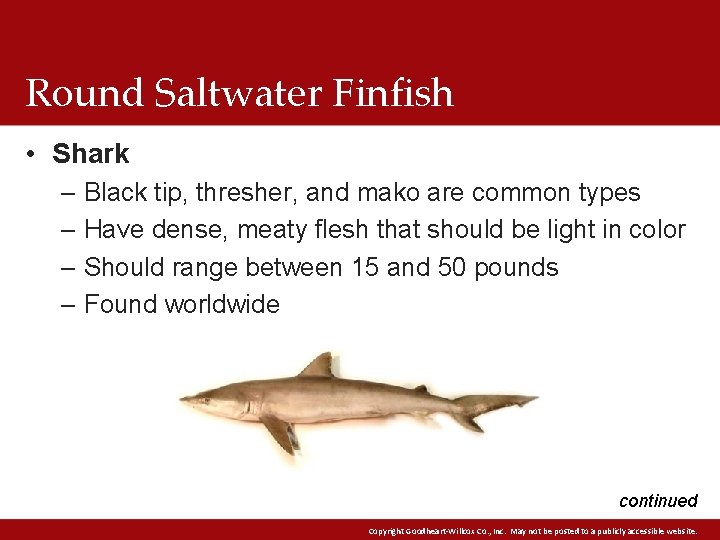 Round Saltwater Finfish • Shark – Black tip, thresher, and mako are common types