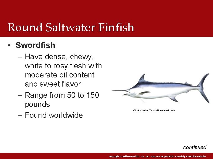 Round Saltwater Finfish • Swordfish – Have dense, chewy, white to rosy flesh with