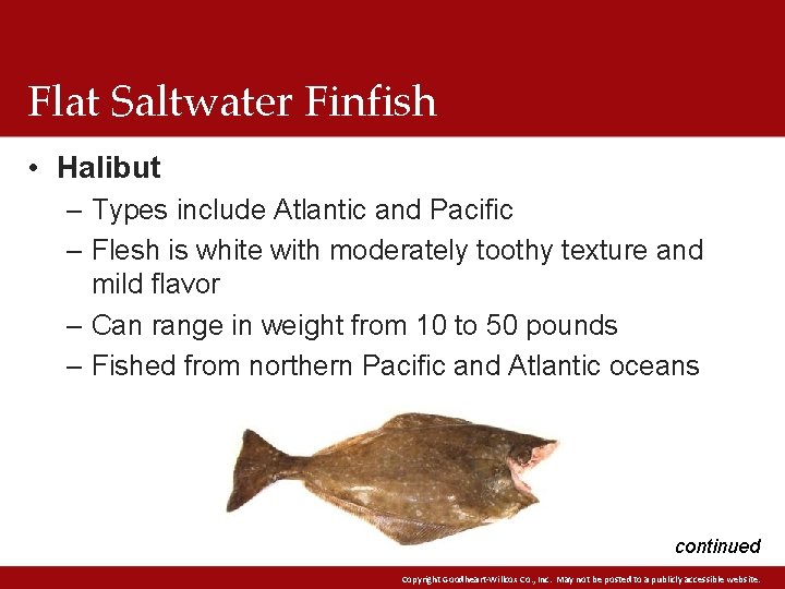 Flat Saltwater Finfish • Halibut – Types include Atlantic and Pacific – Flesh is