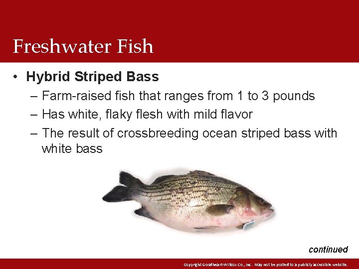 Freshwater Fish • Hybrid Striped Bass – Farm-raised fish that ranges from 1 to