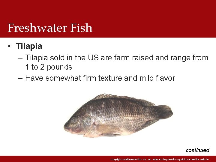 Freshwater Fish • Tilapia – Tilapia sold in the US are farm raised and