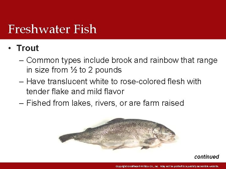 Freshwater Fish • Trout – Common types include brook and rainbow that range in