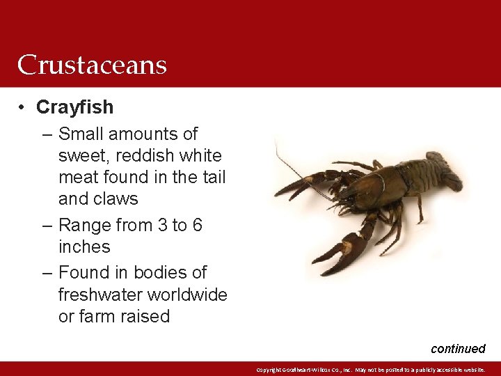 Crustaceans • Crayfish – Small amounts of sweet, reddish white meat found in the