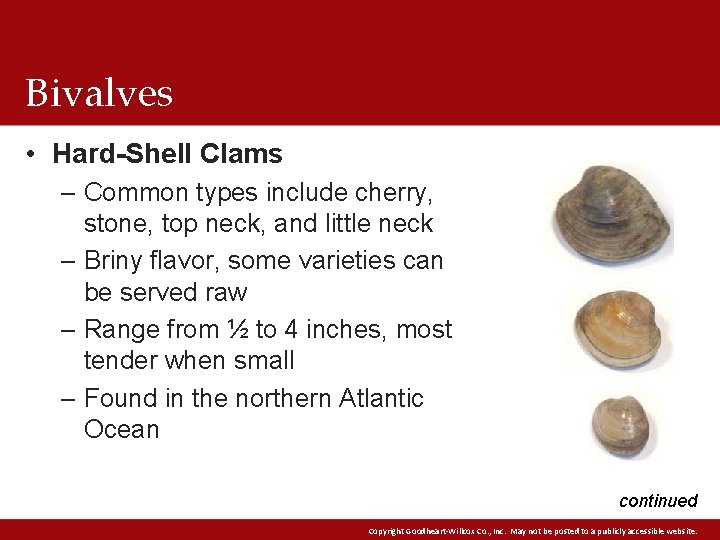 Bivalves • Hard-Shell Clams – Common types include cherry, stone, top neck, and little