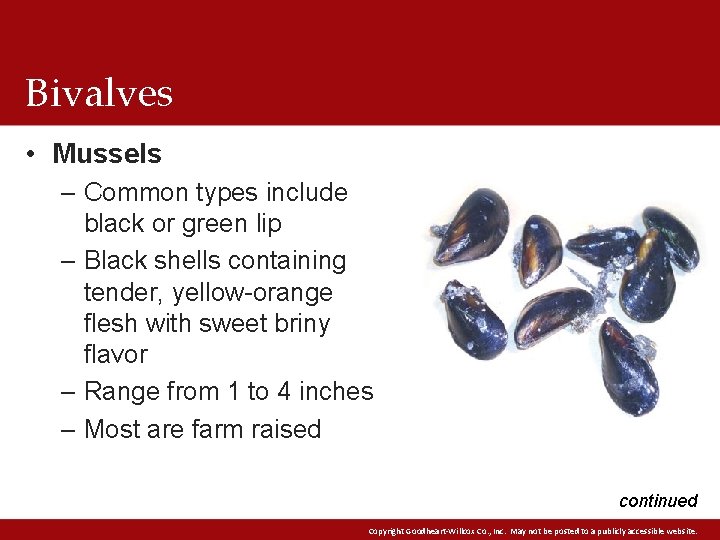 Bivalves • Mussels – Common types include black or green lip – Black shells