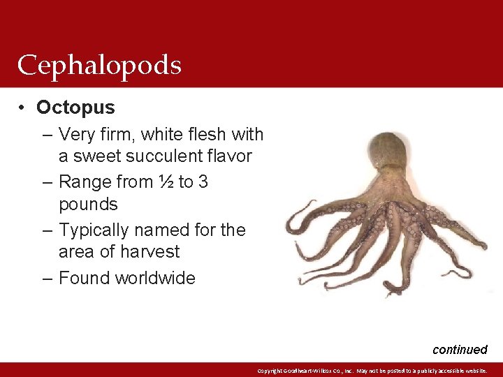 Cephalopods • Octopus – Very firm, white flesh with a sweet succulent flavor –