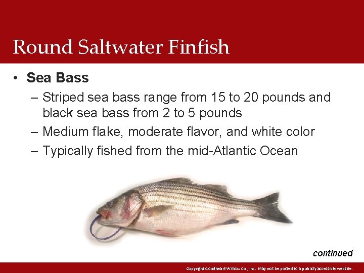 Round Saltwater Finfish • Sea Bass – Striped sea bass range from 15 to