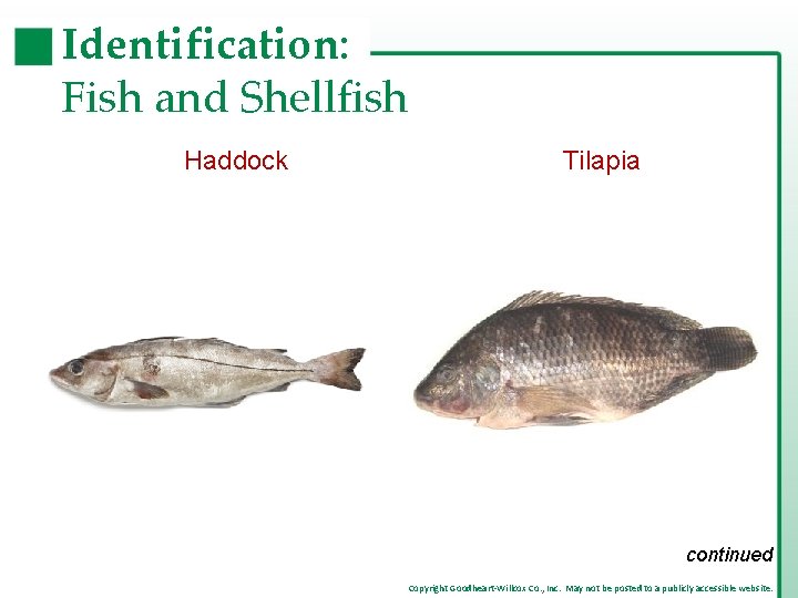 Identification: Fish and Shellfish Haddock Tilapia continued Copyright Goodheart-Willcox Co. , Inc. May not