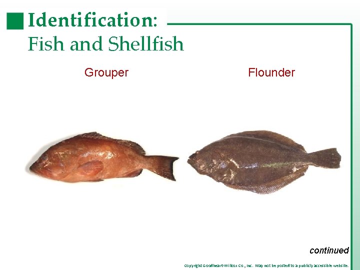 Identification: Fish and Shellfish Grouper Flounder continued Copyright Goodheart-Willcox Co. , Inc. May not