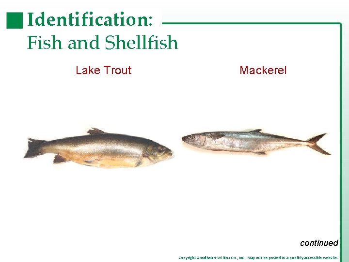 Identification: Fish and Shellfish Lake Trout Mackerel continued Copyright Goodheart-Willcox Co. , Inc. May