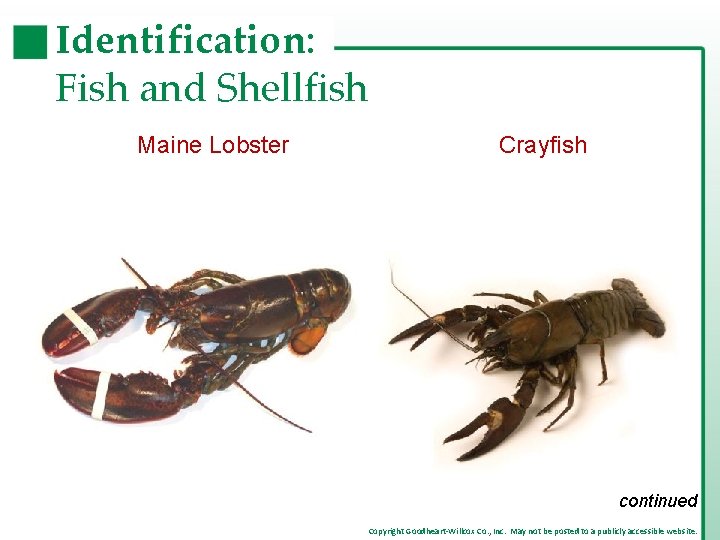 Identification: Fish and Shellfish Maine Lobster Crayfish continued Copyright Goodheart-Willcox Co. , Inc. May