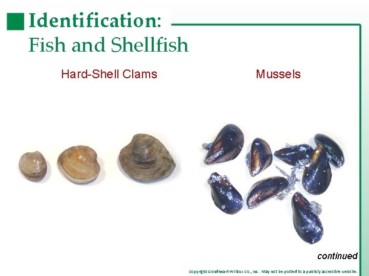 Identification: Fish and Shellfish Hard-Shell Clams Mussels continued Copyright Goodheart-Willcox Co. , Inc. May