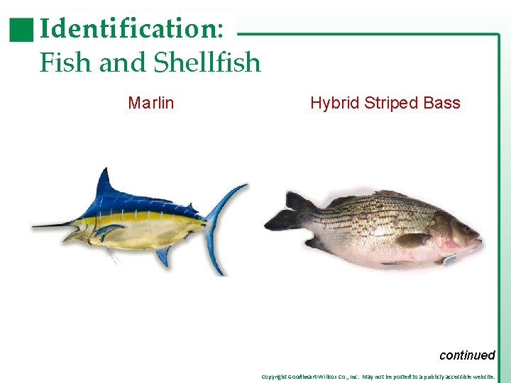 Identification: Fish and Shellfish Marlin Hybrid Striped Bass continued Copyright Goodheart-Willcox Co. , Inc.