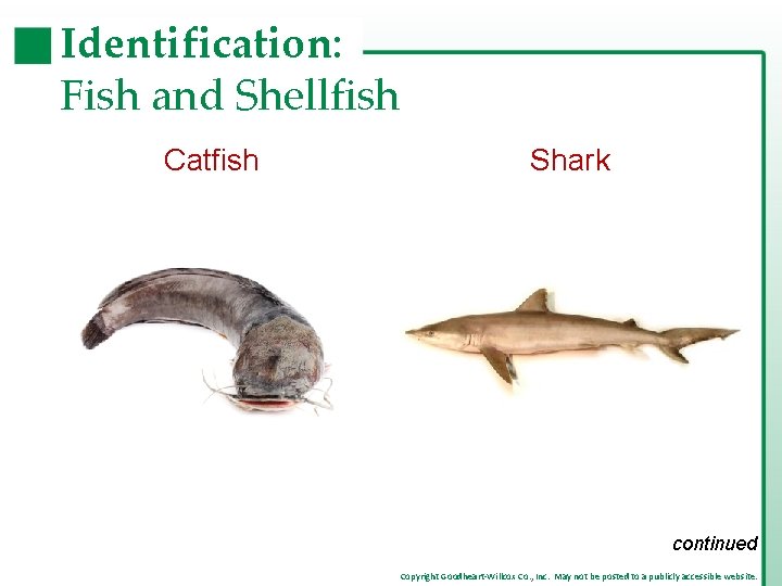 Identification: Fish and Shellfish Catfish Shark continued Copyright Goodheart-Willcox Co. , Inc. May not
