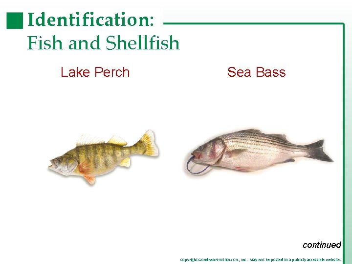 Identification: Fish and Shellfish Lake Perch Sea Bass continued Copyright Goodheart-Willcox Co. , Inc.