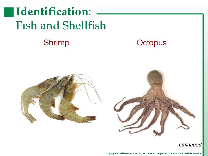 Identification: Fish and Shellfish Shrimp Octopus continued Copyright Goodheart-Willcox Co. , Inc. May not