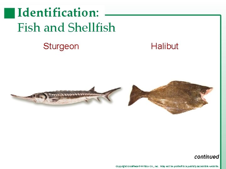 Identification: Fish and Shellfish Sturgeon Halibut continued Copyright Goodheart-Willcox Co. , Inc. May not