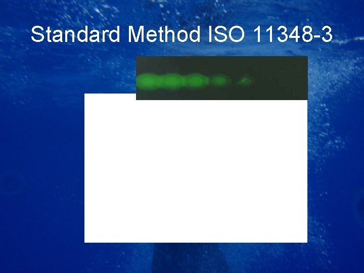 Standard Method ISO 11348 -3 