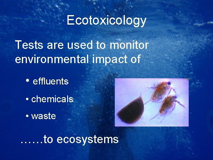 Ecotoxicology Tests are used to monitor environmental impact of • effluents • chemicals •