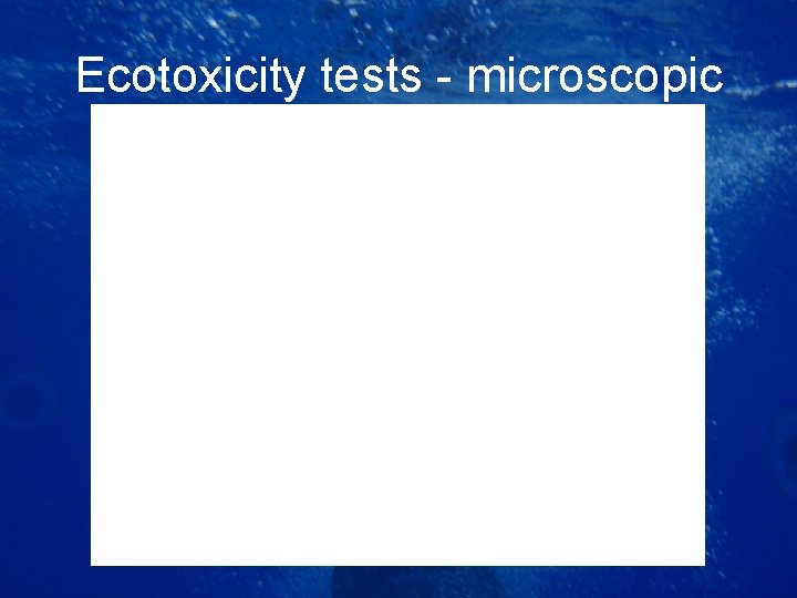 Ecotoxicity tests - microscopic 