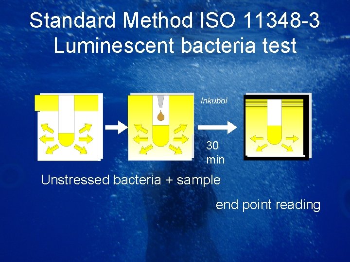 Standard Method ISO 11348 -3 Luminescent bacteria test 30 min Unstressed bacteria + sample