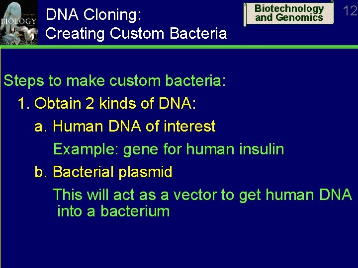 DNA Cloning: Creating Custom Bacteria Biotechnology and Genomics 12 Steps to make custom bacteria:
