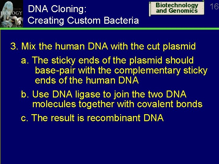 DNA Cloning: Creating Custom Bacteria Biotechnology and Genomics 3. Mix the human DNA with