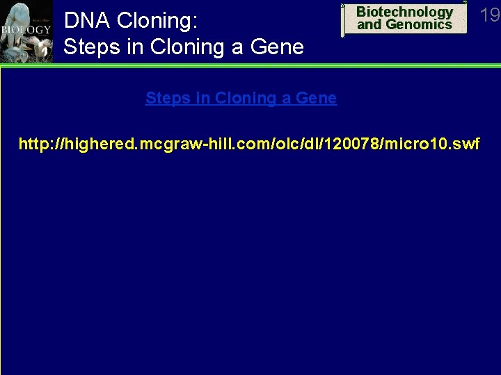 DNA Cloning: Steps in Cloning a Gene Biotechnology and Genomics 19 Steps in Cloning