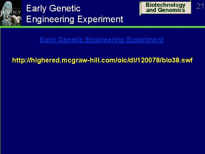 Early Genetic Engineering Experiment Biotechnology and Genomics Early Genetic Engineering Experiment http: //highered. mcgraw-hill.