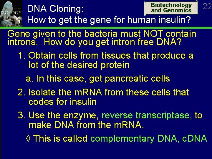 Biotechnology and Genomics 22 DNA Cloning: How to get the gene for human insulin?