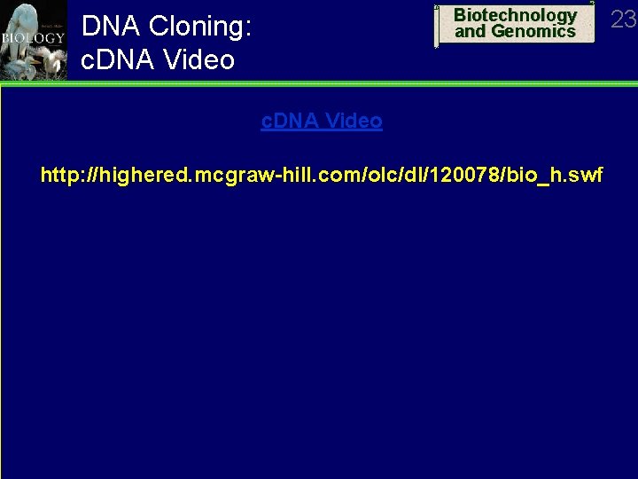 Biotechnology and Genomics DNA Cloning: c. DNA Video http: //highered. mcgraw-hill. com/olc/dl/120078/bio_h. swf 23