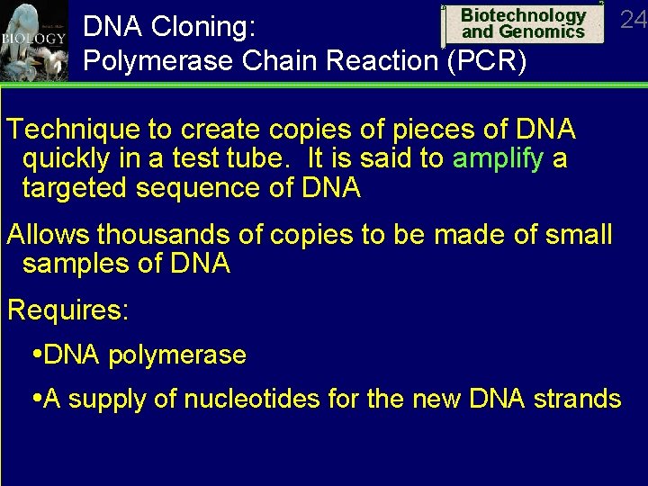 Biotechnology and Genomics DNA Cloning: Polymerase Chain Reaction (PCR) 24 Technique to create copies