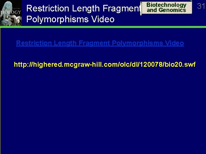 Restriction Length Fragment Polymorphisms Video Biotechnology and Genomics Restriction Length Fragment Polymorphisms Video http: