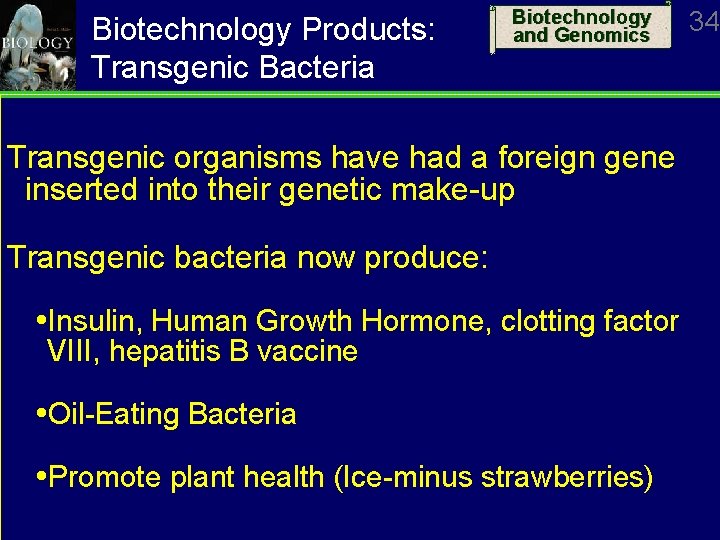Biotechnology Products: Transgenic Bacteria Biotechnology and Genomics Transgenic organisms have had a foreign gene