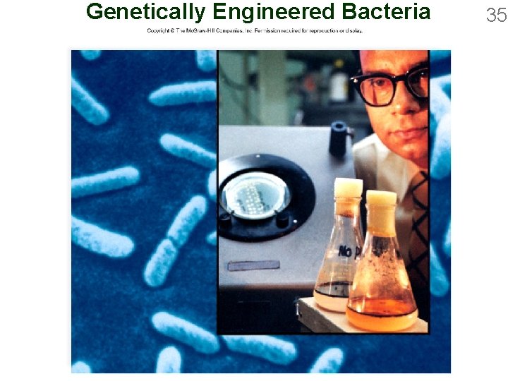 Genetically Engineered Bacteria 35 