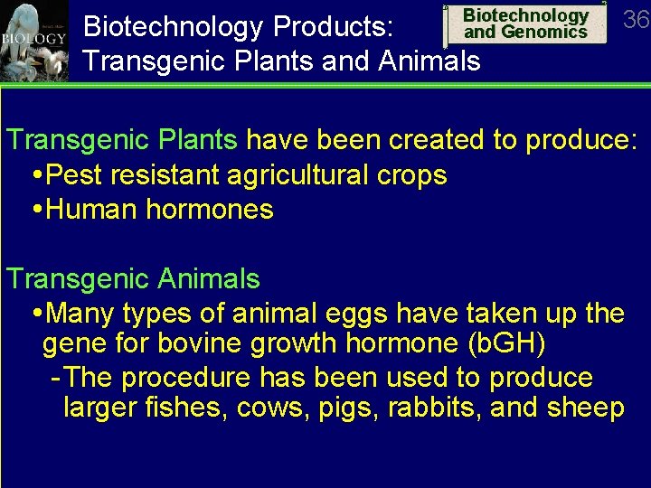 Biotechnology and Genomics Biotechnology Products: Transgenic Plants and Animals 36 Transgenic Plants have been