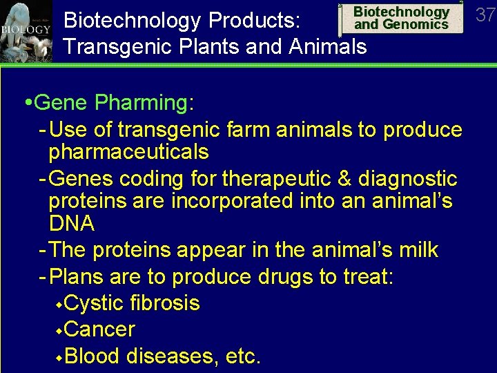 Biotechnology and Genomics Biotechnology Products: Transgenic Plants and Animals Gene Pharming: Use of transgenic