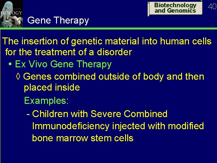 Biotechnology and Genomics 40 Gene Therapy The insertion of genetic material into human cells