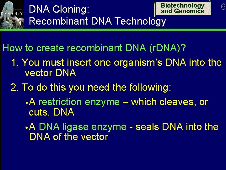 Biotechnology and Genomics DNA Cloning: Recombinant DNA Technology 6 How to create recombinant DNA