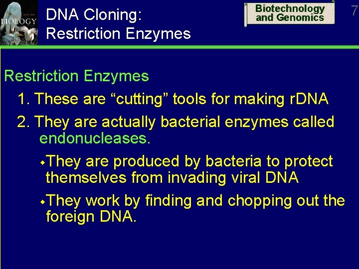 DNA Cloning: Restriction Enzymes Biotechnology and Genomics Restriction Enzymes 1. These are “cutting” tools