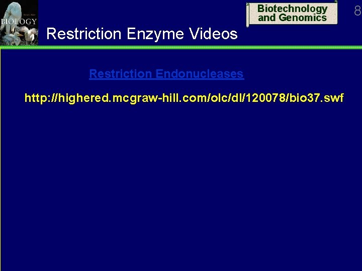 Biotechnology and Genomics Restriction Enzyme Videos Restriction Endonucleases http: //highered. mcgraw-hill. com/olc/dl/120078/bio 37. swf