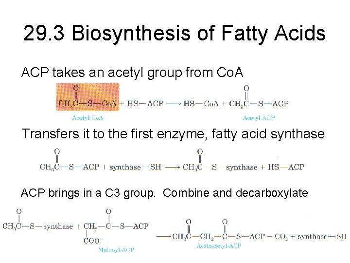 29. 3 Biosynthesis of Fatty Acids ACP takes an acetyl group from Co. A
